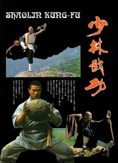 Shaolin Kung Fu: The Henan Art Edition