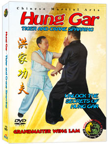 (Hung Gar DVD #06) Tiger and Crane Sparring by Sifu Wing Lam