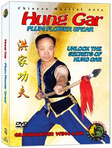 (Hung Gar DVD #15) Plum Flower Spear