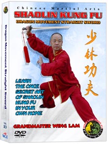 (Shaolin DVD #10) Shaolin Dragon Movement Straight Sword Chinese Traditional Shaolin Kung Fu