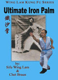 Shaolin Iron Palm Training Master Kit