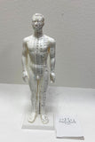 20 inches Chinese Human Acupuncture Model with Acupoints and Meridians,High Detail, Engraved Color-Coded Markings, Shatter-Proof Vinyl, Removable Base -  Male