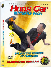(Hung Gar DVD #09) Hung Gar Butterfly Palm by Sifu Wing Lam
