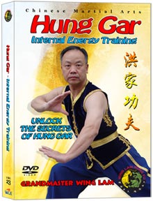 (Hung Gar DVD #23) Internal Energy Training (Iron Thread)