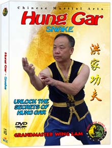 (Hung Gar DVD #25) Hasayfu Snake Form