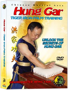 (Hung Gar DVD #38) Tiger Iron Palm Training