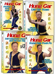 (Hung Gar DVD #01-04) Hung Gar Level One Kung Fu by Sifu Wing Lam