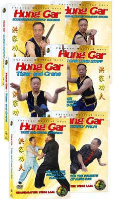 (Hung Gar DVD #05-10) Hung Gar Level Two - Intermediate by Sifu Wing Lam