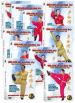 (Shaolin DVD #03, 06, 07, 08, 12-17) Ten Hand Sets of Chinese Traditional Shaolin Kung Fu