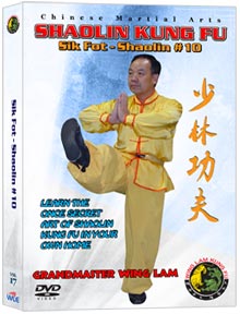 (Shaolin DVD #17) Sik Fot - Shaolin #10 Chinese Traditional Shaolin Kung Fu