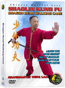 (Shaolin DVD #19) Dragon Head Walking Cane Chinese Traditional Shaolin Kung Fu