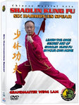 (Shaolin DVD #34) Six Harmonies Spear Chinese Traditional Shaolin Kung Fu