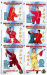 (Shaolin DVD #06-11) Shaolin Level Two - Intermediate Chinese Traditional Shaolin Kung Fu